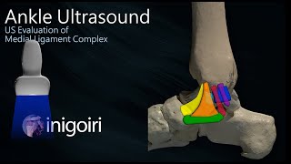 The Sacroiliac Joint Part 1  Major Ligaments amp Structures [upl. by Anirbys]