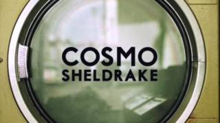 Cosmo Sheldrake  The Moss demo [upl. by Arvell44]