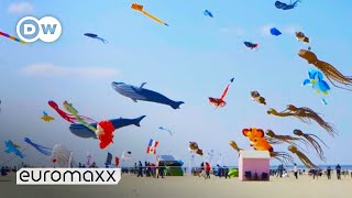 Biggest Kite Festival in Europe  Up in the Air in BercksurMer France [upl. by Flemings260]