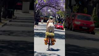 CYCLING INTO THE SPRING cycling cycle bike bikelife roadbike roadcycling [upl. by Ynobe520]