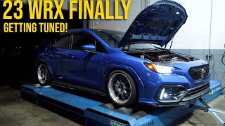 Finally Tuning my 2023 Subaru WRX [upl. by Kathye616]