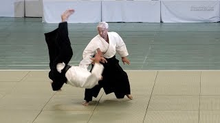 UESHIBA Moriteru Doshu  57th All Japan Aikido Demonstration 2019 [upl. by Adnorahs]