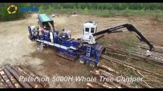 Peterson 5000H Whole Tree Chipper in Pine [upl. by Canon]