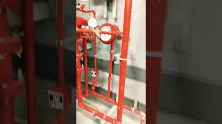 PreAction System foryou yt electrician fire firealarm firework ytshorts viralvideo fyp [upl. by Rotkiv727]