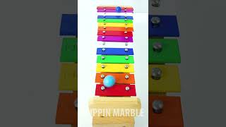 15 Note Xylophone Marble Run ASMR asmrsounds marblerun satisfyingvideo [upl. by Nanci]