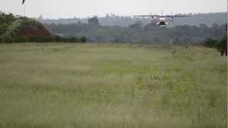 Dornier 228 Low Pass [upl. by Acisej410]