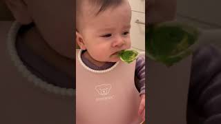 4 month old baby tries broccoli  My first solid foodbroccoli purée [upl. by Onstad964]