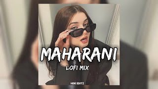 Maharani  Lofi Mix  Door Naja Naja mughse   New trending Instagram Song 2024 🍅 [upl. by Aihsik54]