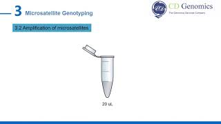 Microsatellite Genotyping [upl. by Yrrep37]