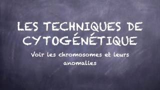 les techniques de cytogénétique partie 1 [upl. by Ahseiyt]