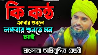 সৈই কন্ঠ একবার শুনুন বার বার শুনতে মন চায়বেMaulana Mainuddin rejbi jalsaআমিনুদ্দিন রেজবীWaz [upl. by Moriarty]