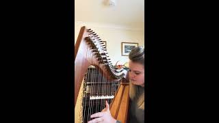 “Sunday’s Well Waltz”  Arr Ciorstaidh Beaton [upl. by Noonan164]