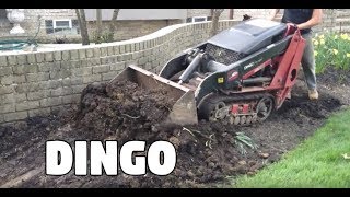 Toro Dingo TX420 Mini Skidsteer Digging [upl. by Donelu]