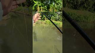 Fly Fishing Indonesia Wader Pari [upl. by Eintroc]