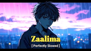 Zaalima  Slowed  Reverb [upl. by Oiramat]