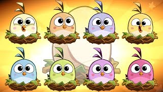 Angry Birds 803 in pc [upl. by Simpkins30]