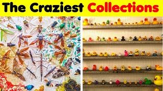 Odd Collections [upl. by Zirkle]