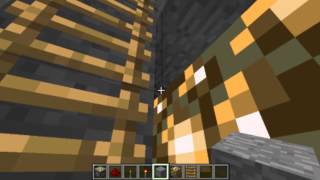 Minecraft X Ray Vision [upl. by Cherilynn]