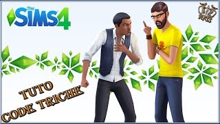 Les Sims 4 FR Tutoriel quotCode Trichequot [upl. by Gratia215]