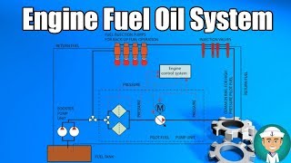 Engine Fuel Oil System [upl. by Ruel]