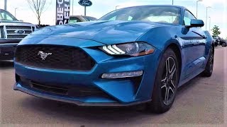 2019 Ford Mustang EcoBoost The Turbocharged Pony Car [upl. by Honig246]