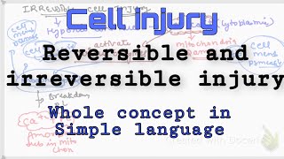 Reversible and Irreversible Cell injury Cell injury pathology lecture pathology Cell injury [upl. by Ahsenev713]