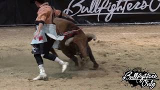 A Short History of Bullfighters Only [upl. by Fleisher]