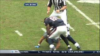 Andre Johnson vs Cortland Finnegan Fight [upl. by Strenta330]