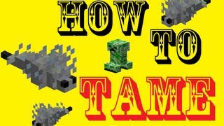 Minecraft  How To Tame a Silverfish [upl. by Nnylyahs133]