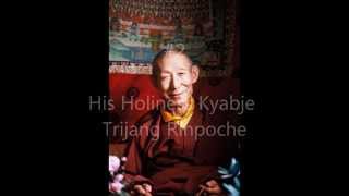 Top 12 Highest Tibetan Buddhist Masters In the World  Dorje Shugden Lamas [upl. by Mctyre]