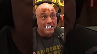 Joe Rogan Reacts to California Fires [upl. by Ahkos]