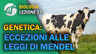 BIOLOGIA  Lezione 12  Genetica Eccezioni alle Leggi di Mendel [upl. by Iorio]