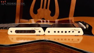 LR Baggs M1 Active and M80 Acoustic Guitar Pickup Demo from Peghead Nation [upl. by Rehsa211]