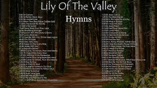 Lily Of The Valley  Hymns  Lifebreakthrough [upl. by Wrennie569]