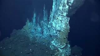 Hydrothermal Vents 2016 Deepwater Exploration of the Marianas [upl. by Merle]