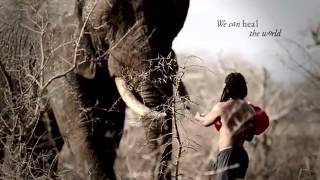 Wonderbag Giant Steps Film Supporting Africas Natural Resources [upl. by Anikes408]