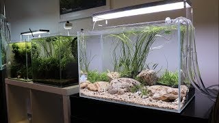 River Bottom Aquascape Tutorial  Easy Aquascape added to the Aquarium Gardens Showroom [upl. by Annuaerb]