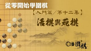 【從零開始學圍棋】 入門12 【活棋與死棋】 [upl. by Ceevah272]