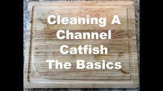 Cleaning Channel Catfish [upl. by Adala]