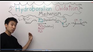 Hydroboration Oxidation Mechanism Made Easy  Part 1   Organic Chemistry [upl. by Klemperer]