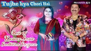 Tujhse Kya Chori Hai With Lyrics  Kumar Sanu Sadhana Sargam  Hum Hain Bemisal 1994 Songs [upl. by Allissa300]