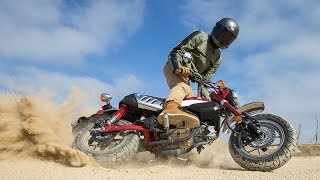 2019 Honda Monkey Review  First Ride [upl. by Uball135]