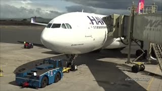 Hawaiian Airlines A330 Economy Seat Flight Experience From Maui to Seattle [upl. by Walkling]