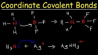 What is a Coordinate Covalent Bond [upl. by Qahsi]