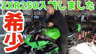 ZXR250 今となっては希少なバイクが入荷しました 【車両紹介】 [upl. by Eiramac]