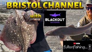 Sea Fishing BRISTOL CHANNEL at SHURTON REEF for SMOOTHOUND and RAYS with BLACKOUT SEA FISHING 2021 [upl. by Eniagrom]