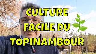 Comment planter le topinambour [upl. by Yr]