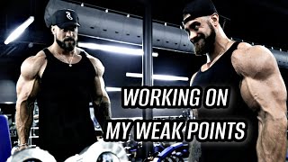 FULL BACK WORKOUT EXPLAINED  HOW TO BE BIG [upl. by Imojean165]