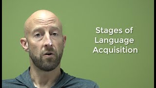 Stages of Language Acquisition [upl. by Ahtibat]