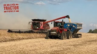 Case IH 9240 AxialFlow Combines Harvesting Soybeans [upl. by Oniratac]